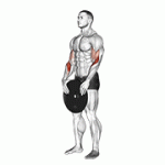 Fito App Weighted Standing Curl exercise demonstration with how-to guide and tips.