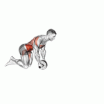 Fito App Wheel Rollout exercise demonstration with how-to guide and tips.
