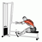 Fito App Cable Seated Row exercise demonstration with how-to guide and tips.