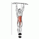 Fito App Weighted Hanging Leg Hip Raise exercise demonstration with how-to guide and tips.