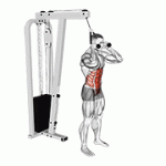 Fito App Cable Standing Crunch (with Rope Attachment) exercise demonstration with how-to guide and tips.