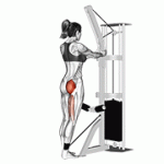 Fito App Cable Standing Hip Extension exercise demonstration with how-to guide and tips.