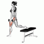 Fito App Dumbbell One Leg Squat exercise demonstration with how-to guide and tips.