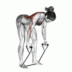 Fito App Band Bent Over Row exercise demonstration with how-to guide and tips.