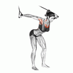 Fito App Band High Fly exercise demonstration with how-to guide and tips.