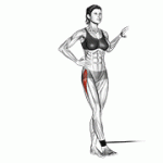 Fito App Band Hip Abduction exercise demonstration with how-to guide and tips.