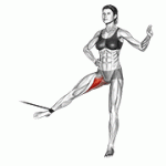 Fito App Band Hip Adduction exercise demonstration with how-to guide and tips.