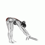 Fito App Band Hyperextension exercise demonstration with how-to guide and tips.