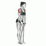 Fito App Band Lateral Raise exercise demonstration with how-to guide and tips.