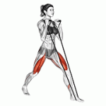 Fito App Band Lunges exercise demonstration with how-to guide and tips.