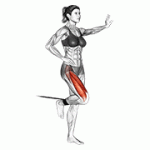 Fito App Band Standing Leg Extension exercise demonstration with how-to guide and tips.