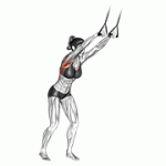 Fito App Band Straight Arm Pulldown exercise demonstration with how-to guide and tips.