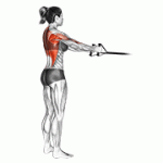 Fito App Band Straight Back Standing Row exercise demonstration with how-to guide and tips.