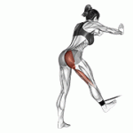 Fito App Band Bent Over Hip Extension exercise demonstration with how-to guide and tips.