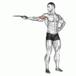 Fito App Band One Arm Overhead Biceps Curl exercise demonstration with how-to guide and tips.