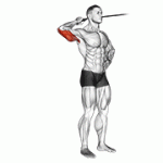 Fito App Band Side Triceps Extension exercise demonstration with how-to guide and tips.