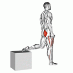 Fito App Band Single Leg Split Squat exercise demonstration with how-to guide and tips.