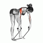 Fito App Band Rear Delt Row exercise demonstration with how-to guide and tips.
