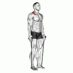 Fito App Band Shrug exercise demonstration with how-to guide and tips.