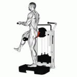 Fito App Lever Standing Rear Kick exercise demonstration with how-to guide and tips.