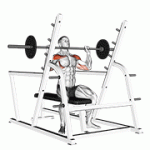 Fito App Barbell Seated Military Press (inside Squat Cage) exercise demonstration with how-to guide and tips.