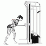 Fito App Cable Kickback exercise demonstration with how-to guide and tips.