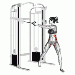 Fito App Cable Twist exercise demonstration with how-to guide and tips.