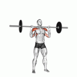 Fito App Barbell Standing Military Press (without Rack) exercise demonstration with how-to guide and tips.