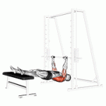 Fito App Weighted Inverted Row exercise demonstration with how-to guide and tips.