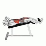 Fito App Incline Twisting Sit up exercise demonstration with how-to guide and tips.