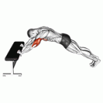 Fito App Triceps Press (head Below Bench) exercise demonstration with how-to guide and tips.