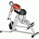 Fito App Lever Lying T Bar Row exercise demonstration with how-to guide and tips.