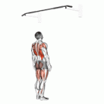 Fito App Jumping Pull up exercise demonstration with how-to guide and tips.
