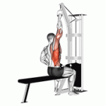 Fito App Cable One Arm Lat Pulldown exercise demonstration with how-to guide and tips.