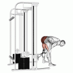 Fito App Cable Pull Through exercise demonstration with how-to guide and tips.