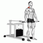 Fito App Lever Shrug (bench Press Machine) exercise demonstration with how-to guide and tips.