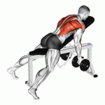 Fito App Dumbbell Lying Rear Delt Row exercise demonstration with how-to guide and tips.