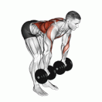 Fito App Dumbbell Palm Rotational Bent Over Row exercise demonstration with how-to guide and tips.