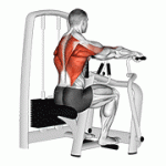 Fito App Lever Seated Row exercise demonstration with how-to guide and tips.