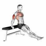 Fito App Bench Dip on Floor exercise demonstration with how-to guide and tips.
