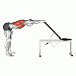 Fito App Back Pec Stretch exercise demonstration with how-to guide and tips.