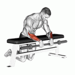 Fito App Barbell Palms Down Wrist Curl Over A Bench exercise demonstration with how-to guide and tips.