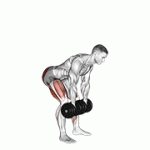Fito App Dumbbell Romanian Deadlift exercise demonstration with how-to guide and tips.