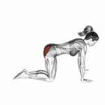 Fito App Bent Leg Kickback (kneeling) exercise demonstration with how-to guide and tips.