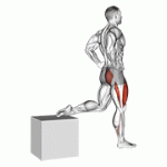 Fito App One Leg Squat exercise demonstration with how-to guide and tips.