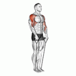 Fito App Band Upright Row (under Two Feet) exercise demonstration with how-to guide and tips.