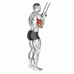Fito App Band Pushdown exercise demonstration with how-to guide and tips.