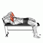 Fito App Band Skull Crusher exercise demonstration with how-to guide and tips.