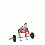 Fito App Barbell Snatch exercise demonstration with how-to guide and tips.