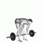 Fito App Barbell Stiff Legged Deadlift exercise demonstration with how-to guide and tips.